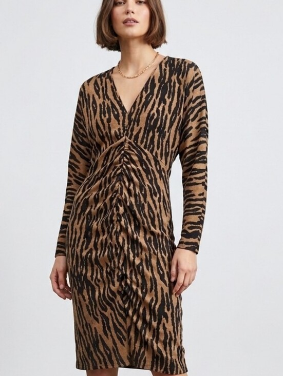 Dresses & Skirts - H&M Animal Print Brown V-Neck Long Sleeve Dress Sz XS